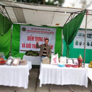 Gạo Nếp Cẩm Điện Biên