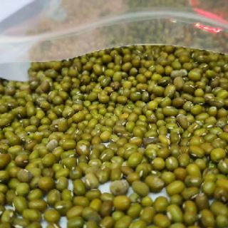 Đậu xanh hột loại 1