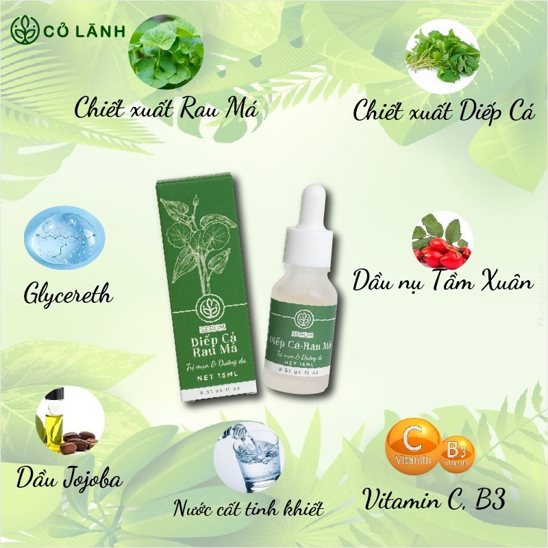 Serum diếp cá rau má