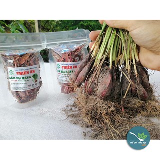 Sâm Đại Hành -tỏi đỏ- 1KG - TM151