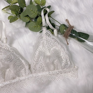 Katie White Bralette - Áo lót ren trắng dễ thương thoải mái sexy