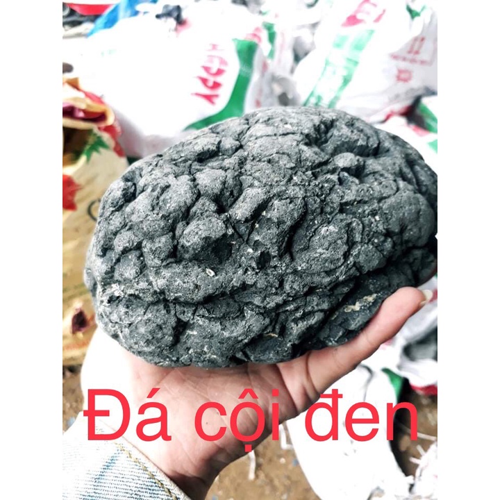 ĐÁ ĐEN GIA LAI - TIGER - NHAM XANH - KẸP KEM - VĨA - DA VOI - CUỘI MÀU - CUỘI ĐEN - CỘI ĐEN