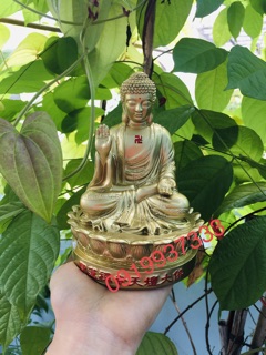 Tượng phật A Di Đà màu đồng ( cao 14 cm )