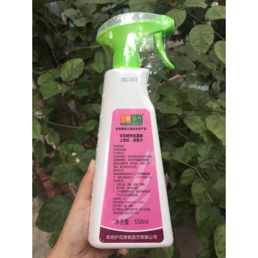 Xịt bón lá dưỡng sen đá khỏe, lên màu