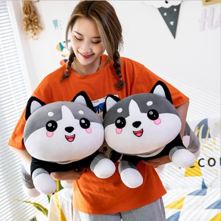 Thú nhồi bông mèo ú siêu dễ thương