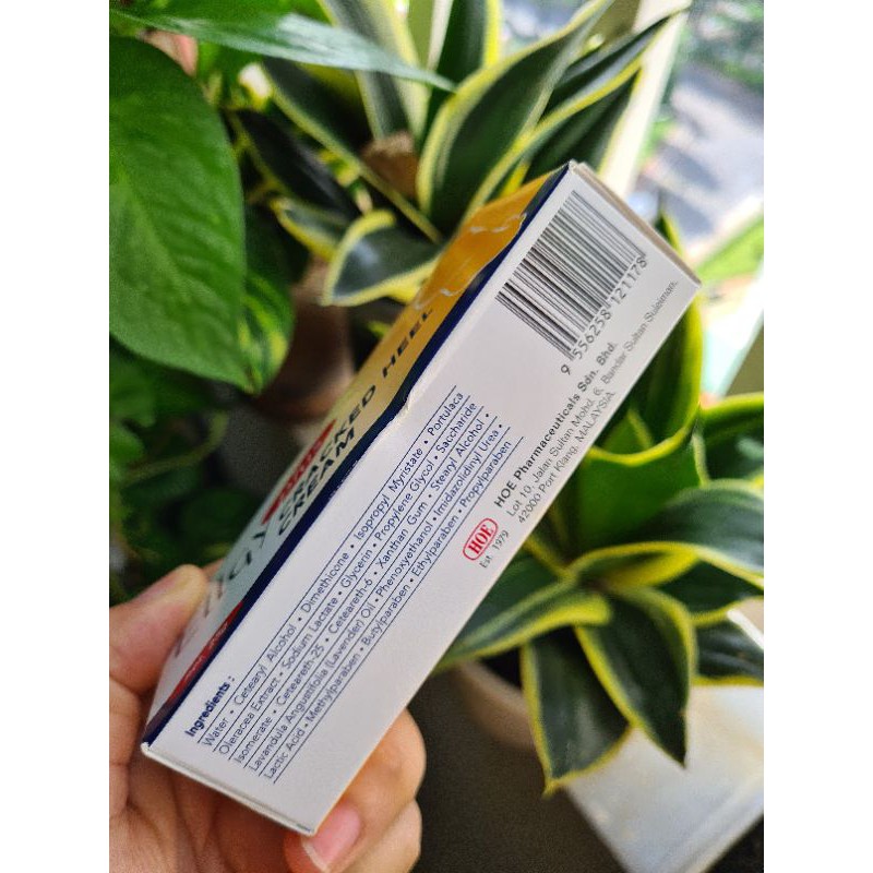 Kem Trị Nứt Gót Chân Ellgy Plus 25g | BigBuy360 - bigbuy360.vn