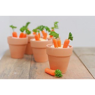 HẠT GIỐNG CÀ RỐT MINI