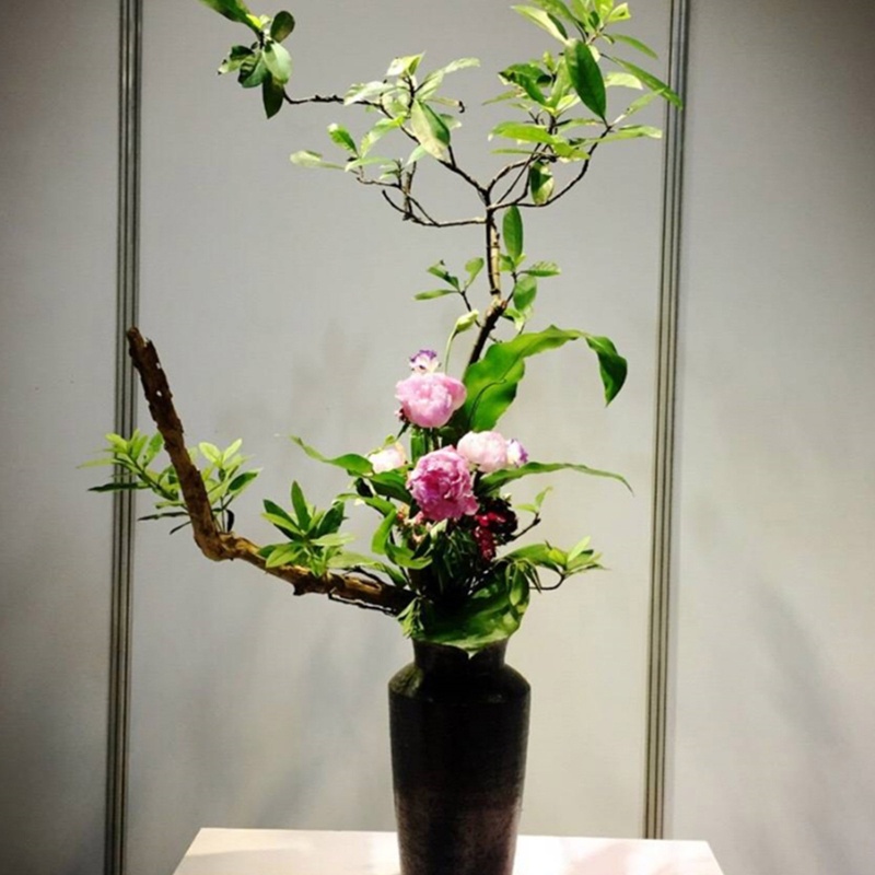 Set 2 Dụng Cụ Cố Định Cành Hoa Tùy Chỉnh Tiện Dụng Cho Gia Đình