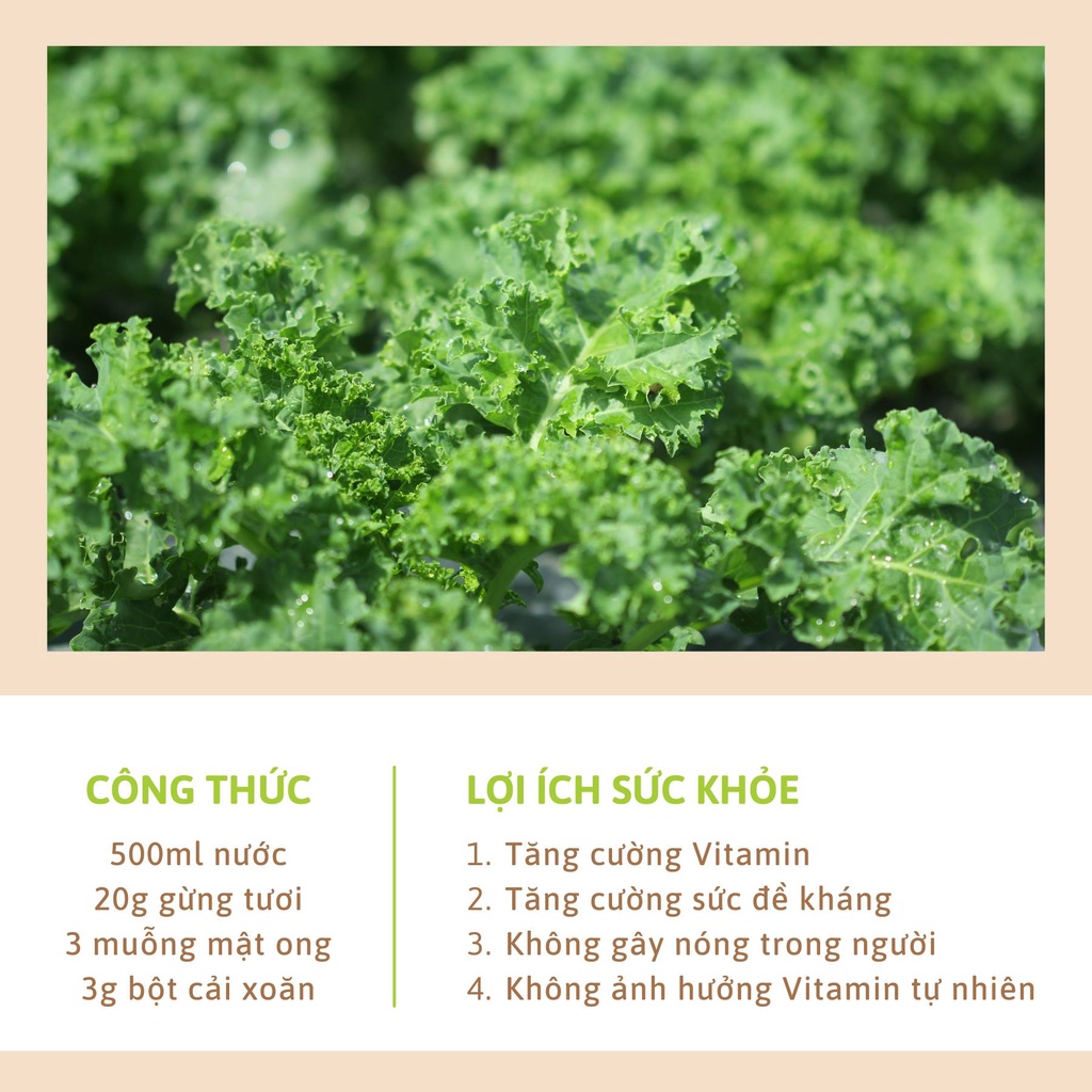 Bột cải xoăn kale sấy lạnh nguyên chất Dalahouse 60gr đạt tiêu chuẩn Châu Âu