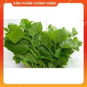 HẠT GIỐNG MÙNG TƠI CAO SẢN GÓI 20 GRAM