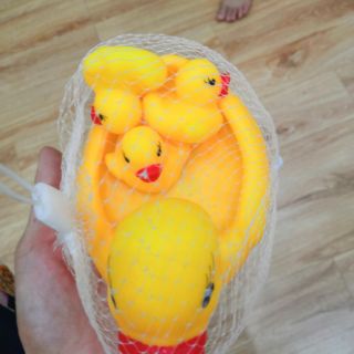 Đàn vịt 4 con bóp kêu