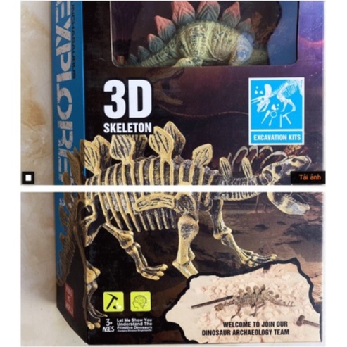 Bộ đồ chơi đào hóa thạch khủng long 3D - Tặng kèm khủng long