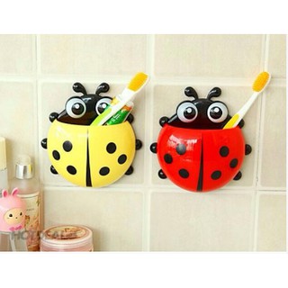 Bọ để bàn trải- Bọ rùa siêu đẹp