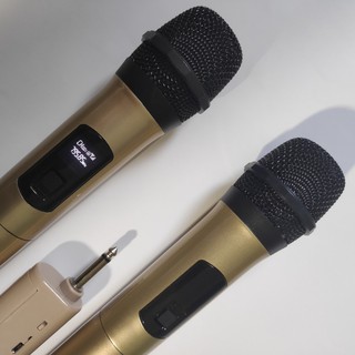 Bộ 2 micro không dây UHF D22MV