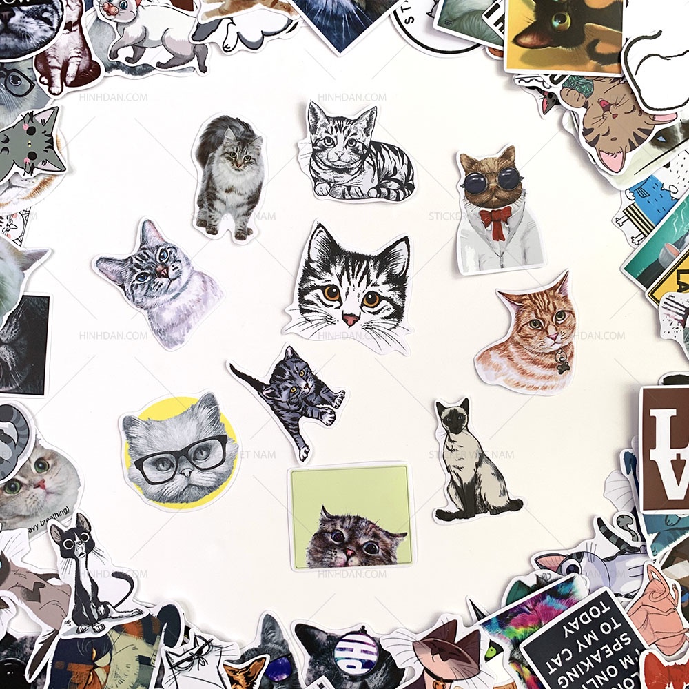 Sticker MÈO - CAT chống nước decal hình dán trang trí xe, laptop, nón bảo hiểm, đàn guitar, máy tính