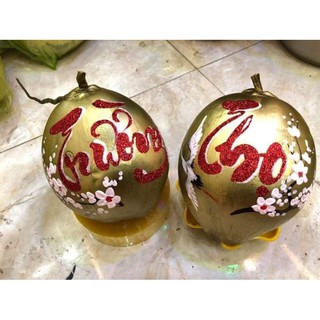 Sơn xịt Nhũ Vàng sơn Trái Dừa