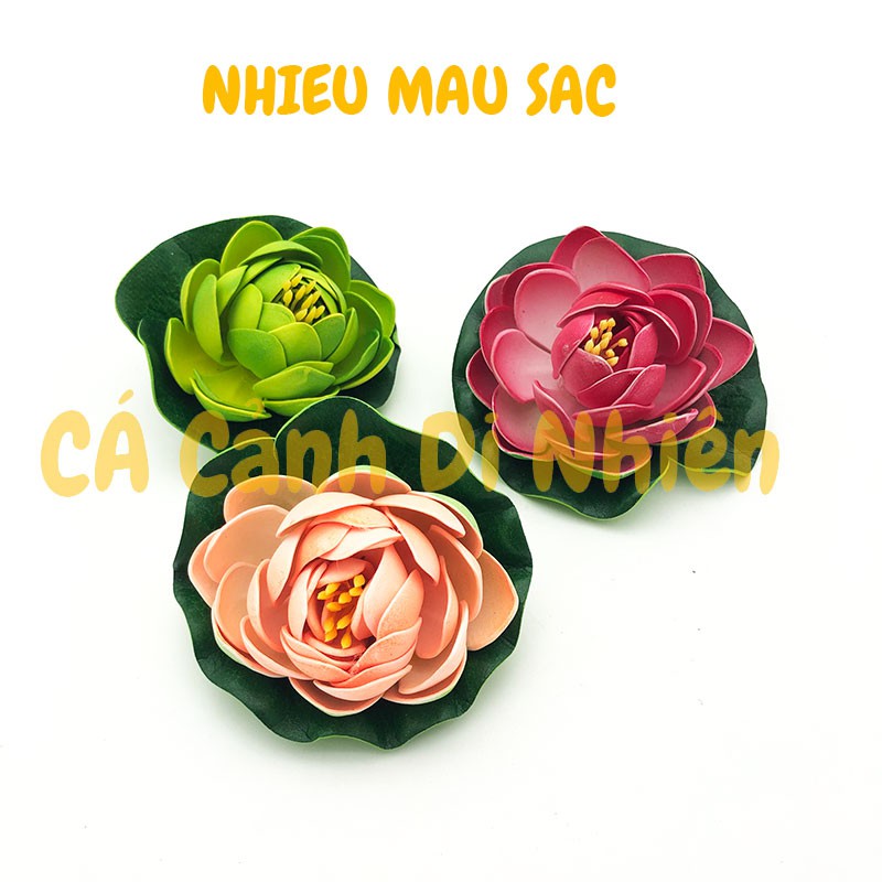 Hoa sen thả nổi mặt nước bông sen Size NHỎ trang trí hồ cá cảnh, hòn non bộ