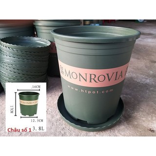 Chậu nhựa cao cấp Monrovia số 1