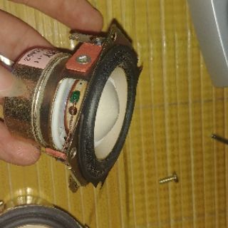 Loa toàn giải sony
