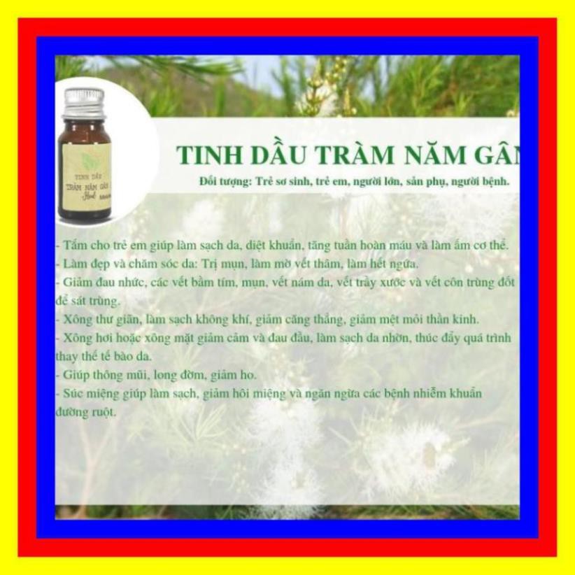 30ml- Tinh Dầu Vỏ Bưởi, Sả Chanh, Thanh Trà, Tràm, Tràm Năm Gân, Thiên Niên Kiện- Tinh Dầu Làng Hạ - Huế- Liên Minh Xanh