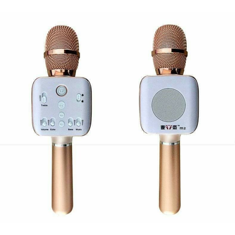 Micro loa karaoke bluetooth MAILIAN M2