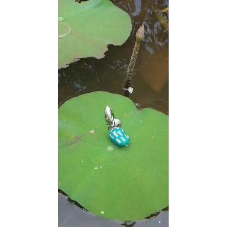mồi câu lure 2 thìa