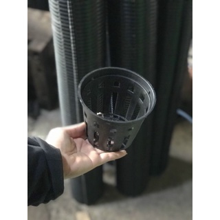Chậu nhựa trồng cây