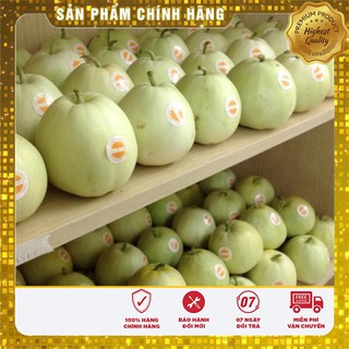 Hạt Giống Dưa Lê Siêu Ngọt(01g)