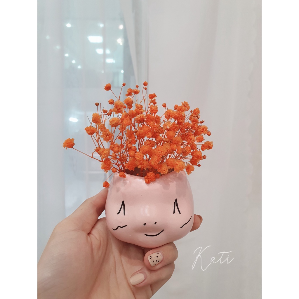 Bình hoa baby khô con mèo so cute, hoa trang trí, bình decor bàn học