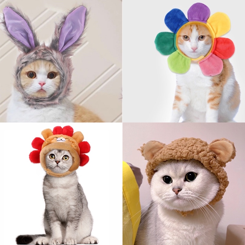 Mũ kute cho chó mèo