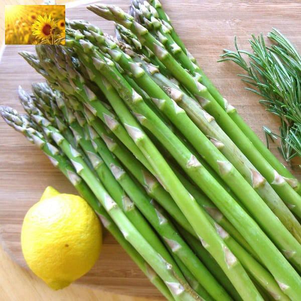 Hạt Giống Măng Tây Xanh  - Dinh Dưỡng, Năng Suất Cao - MUA 3 TẶNG 1 CÙNG LOẠI