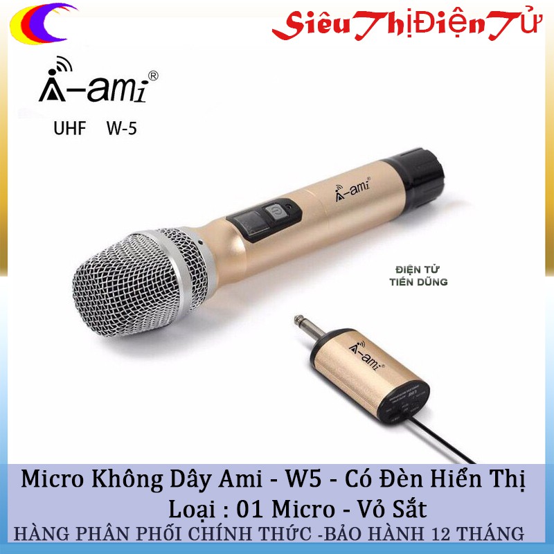 Micro Không Dây AMI W-5