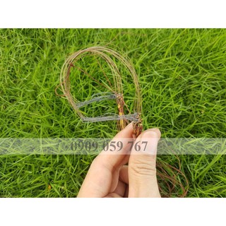 Bẫy Giò Chim Cu Gáy Mồi đất cáp 432