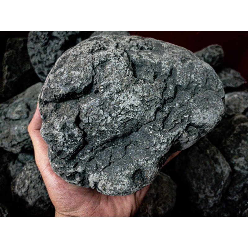 ĐÁ CUỘI ĐEN PHAN THIẾT SIÊU VÂN (1KG)| Trang trí bể Thủy sinh, Biotope, Blackwater, Iwagumi