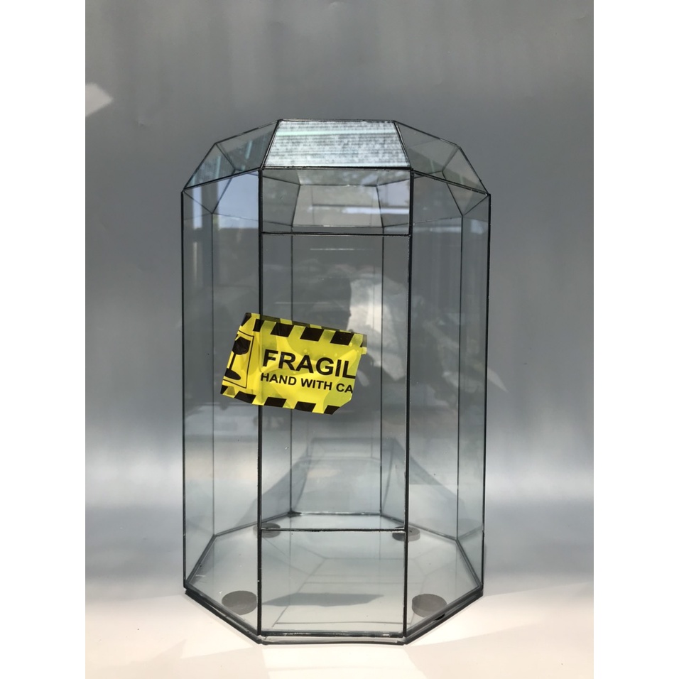 Bể Terrarium Đa Giác Setup Bán Cạn Để Bàn Làm Việc Mở Được Cánh Cửa (Kính 3li chắc chắn, đường keo mượt)