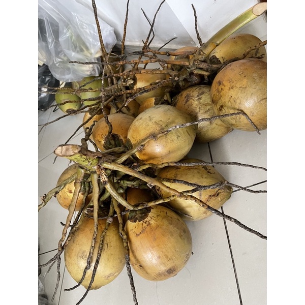 Dừa tươi nguyên trái