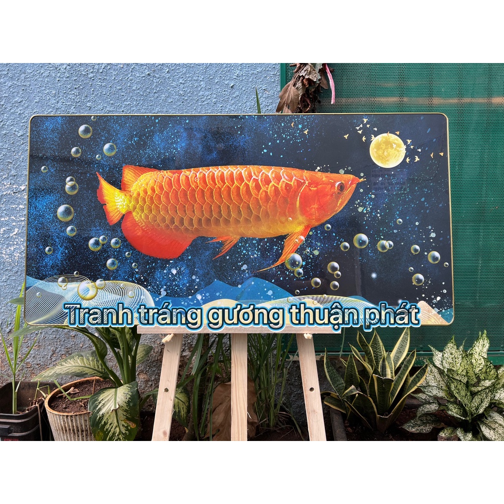Tranh treo tường tài lộc hoa sen cá chép cửu ngư phong thủy 1 tấm lẻ ngang tranh Tráng Gương Thuận Phát