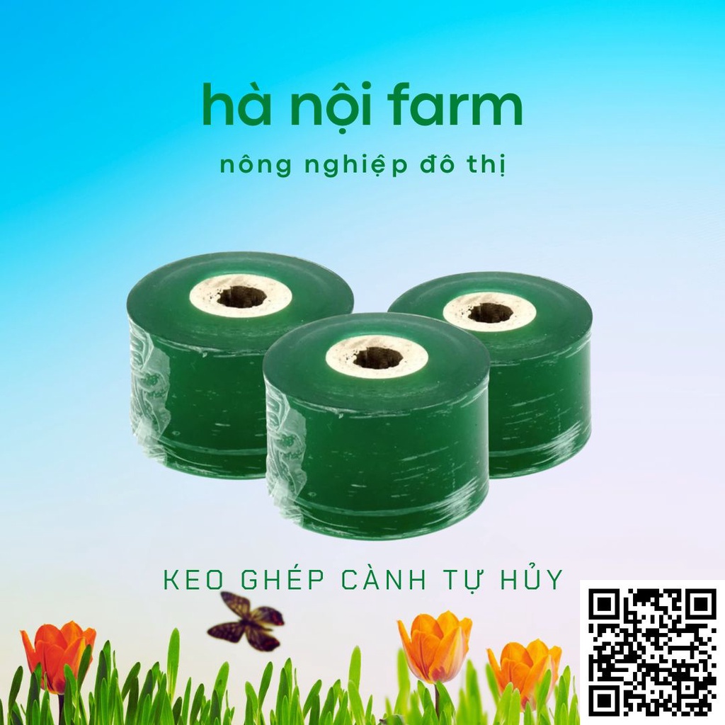 Cuộn băng keo, băng dính cây. tự dính có thể kéo căng dùng để ghép cành cây cảnh tiện dụng