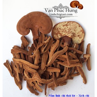 01kg nấm linh chi thái lát - Vanphuchung