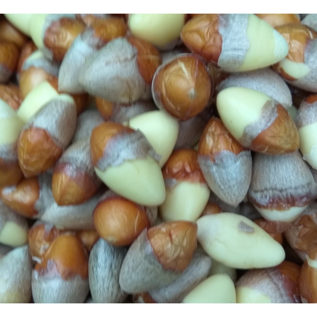 500g hạt bạch quả tươi bóc vỏ - ship hoả tốc HCM