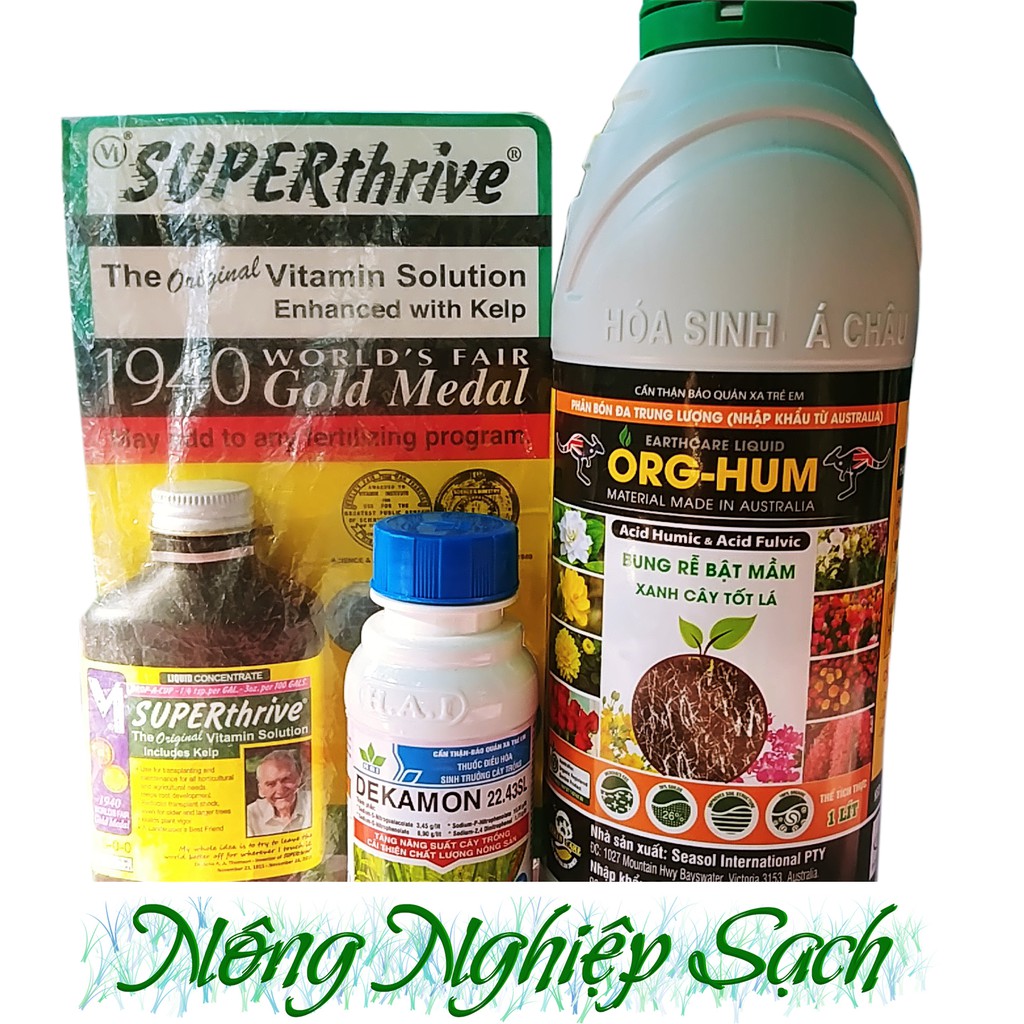 Combo Kích rễ Lan CỰC MẠNH