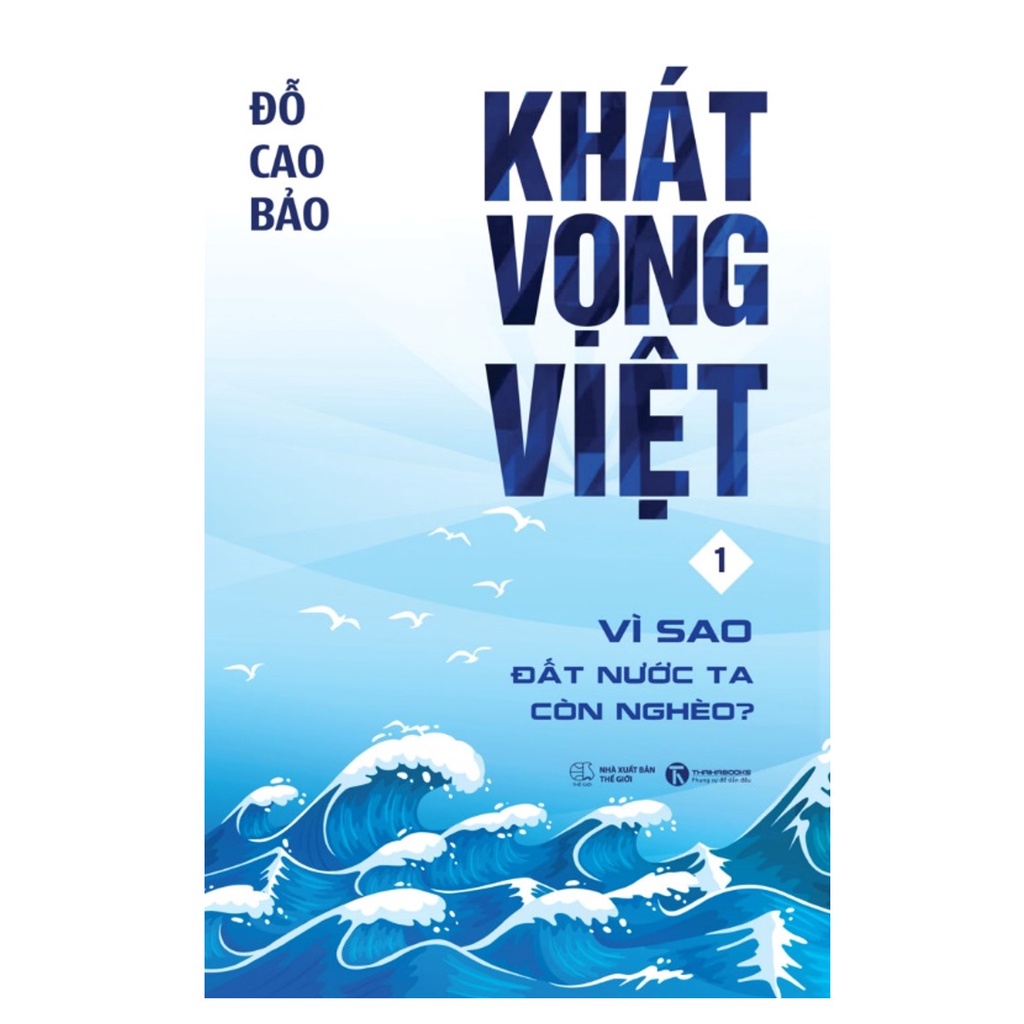 Sách - Khát Vọng Việt: Vì Sao Đất Nước Ta Còn Nghèo? (Tái bản 2022)