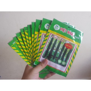 HẠT GIỐNG BÍ SẶT ( BÍ XANH) CAO SẢN SIÊU QUẢ