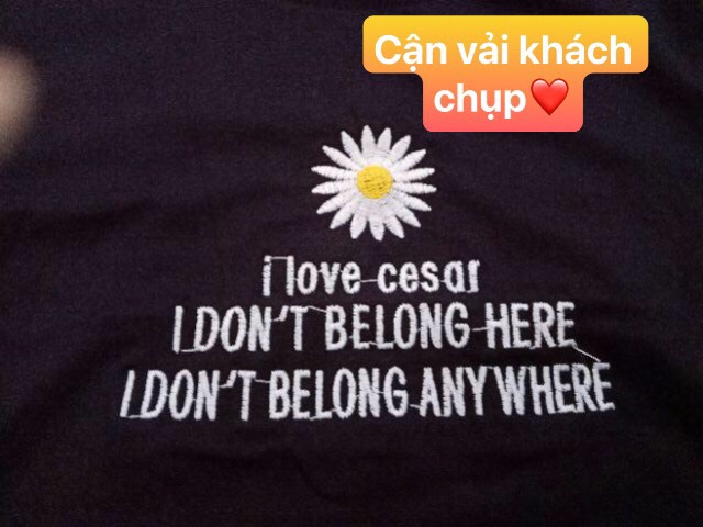 (Có hình thật) ÁO CROPTOP THÊU HOA CÚC 2 MÀU | BigBuy360 - bigbuy360.vn