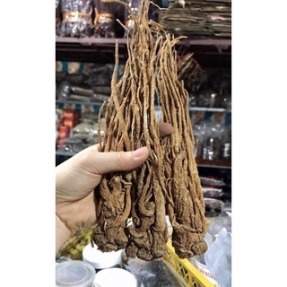 100g Sâm đương quy khô