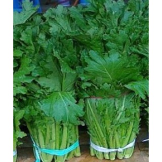 Hạt giống cải mèo Hà Giang 20g