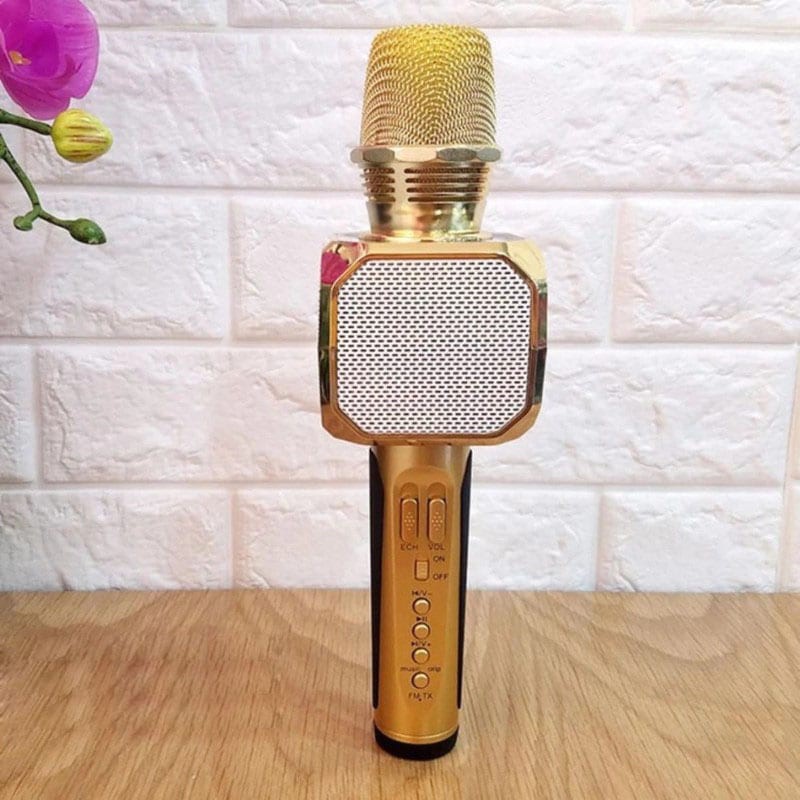 Micro karaoke bluetooth SD-10 Mic hát cầm tay loa không dây