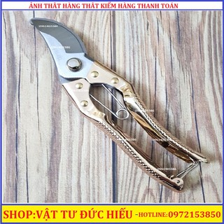 Kéo cắt tỉa cành cây đồng TOP