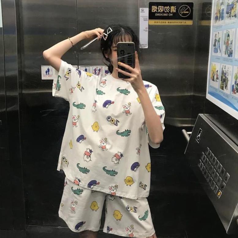 Bộ đồ ngủ nữ pijama dễ thương, Đồ bộ nữ cotton thun cộc tay mùa hè chất mát nhiều hoạ tiết đẹp - BDN22 ‣ *