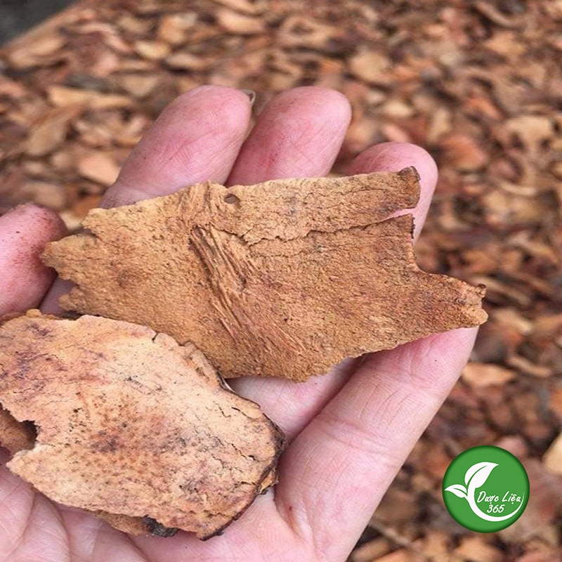 Thổ Phục Linh [1KG] Hàng sạch đẹp chuẩn loại 1